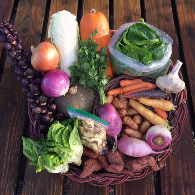 Winter CSA Share #1