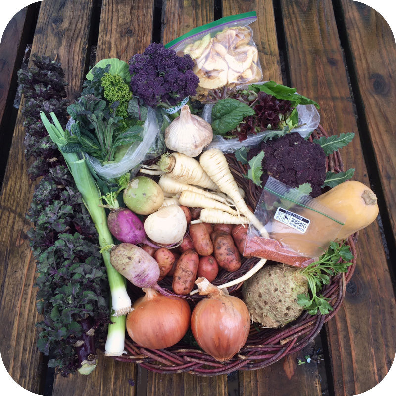Winter CSA Share #7