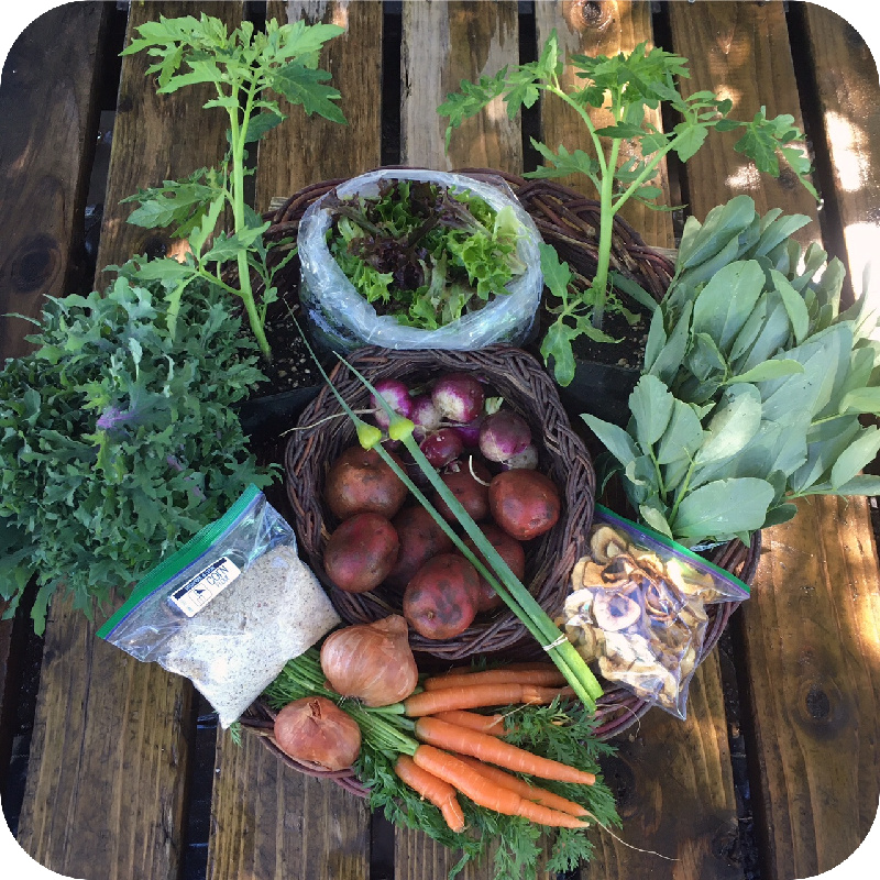 Summer CSA Share #1