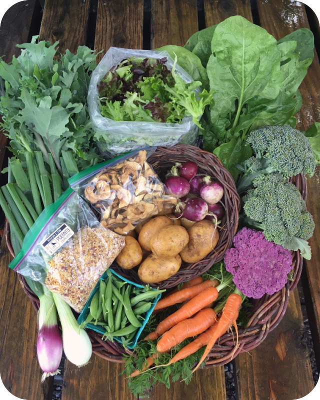 Summer CSA Share #2
