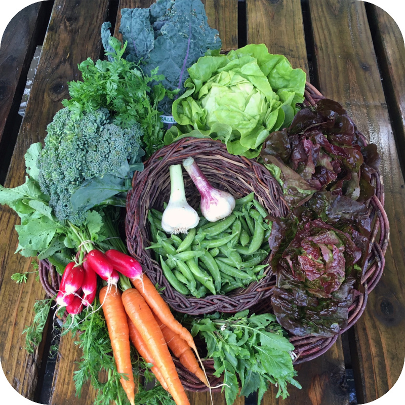 Summer CSA Share – #3