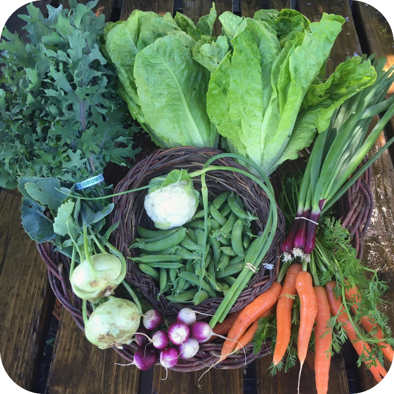 Summer CSA Share #4