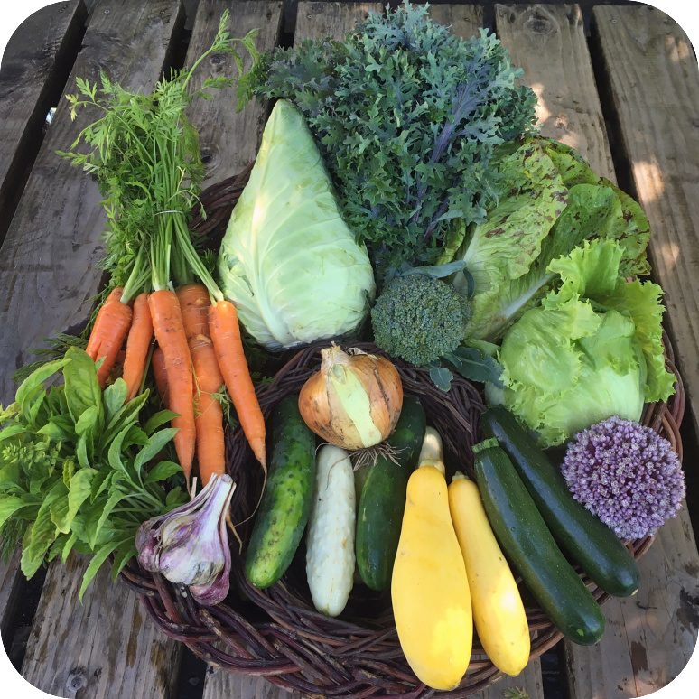 Summer CSA Share #7