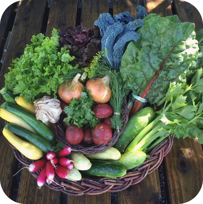 Summer CSA Share #8