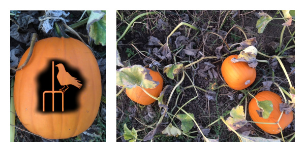 Stencil Plus Pitchfork Crow