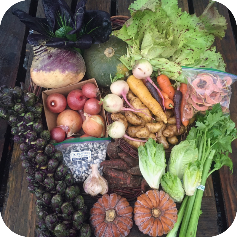 Winter CSA Share #2