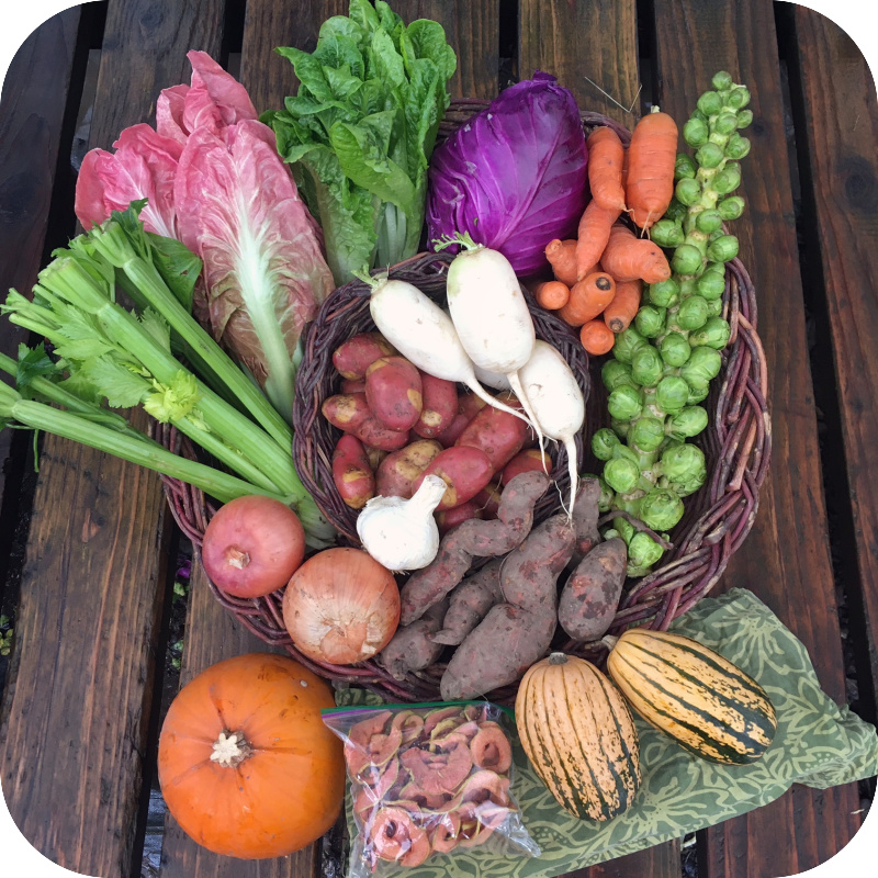 Winter CSA Share #1
