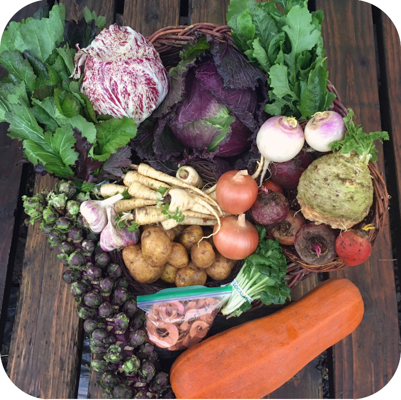 Winter CSA Share #4