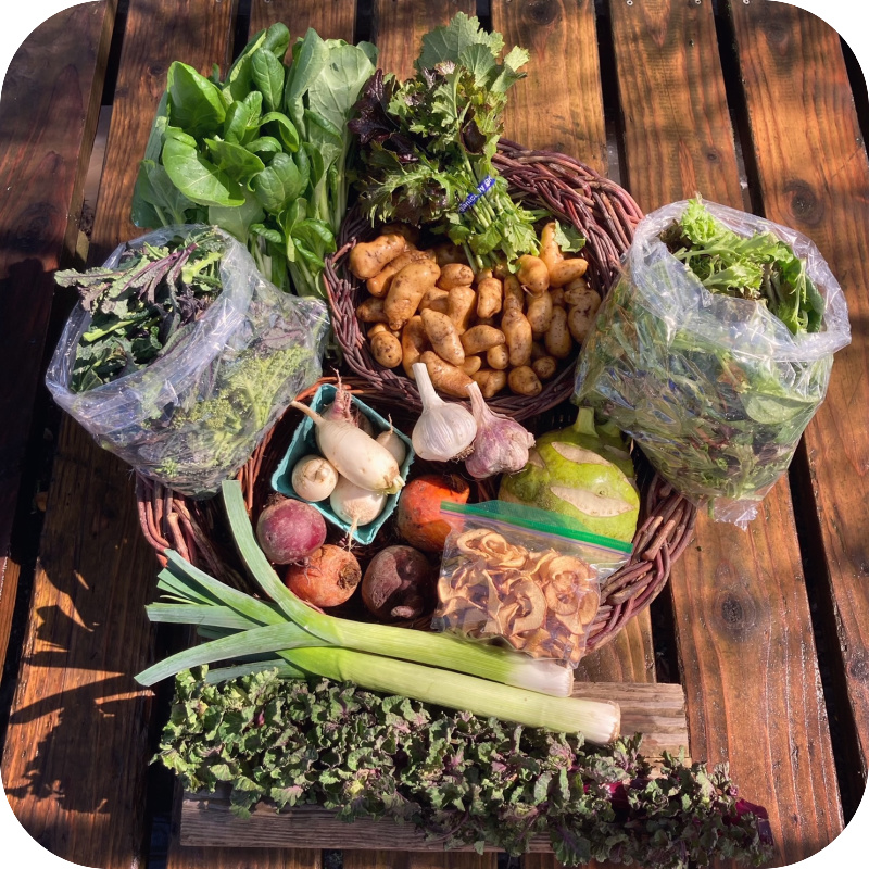 Winter CSA Share #8