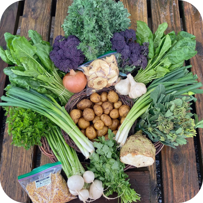 Winter CSA Share #10