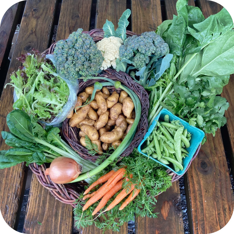 Summer CSA Share #1