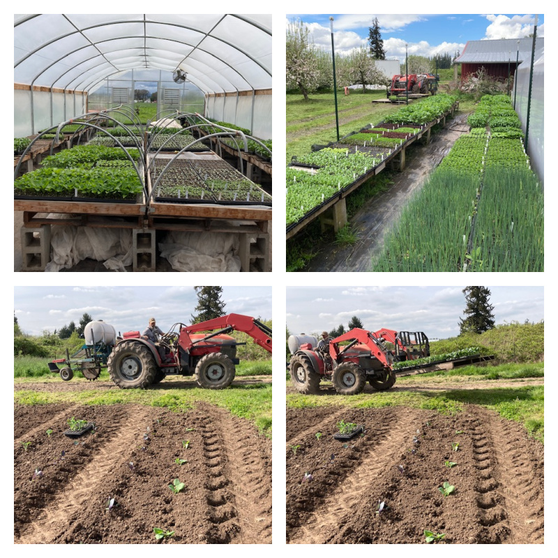 Summer CSA Countdown