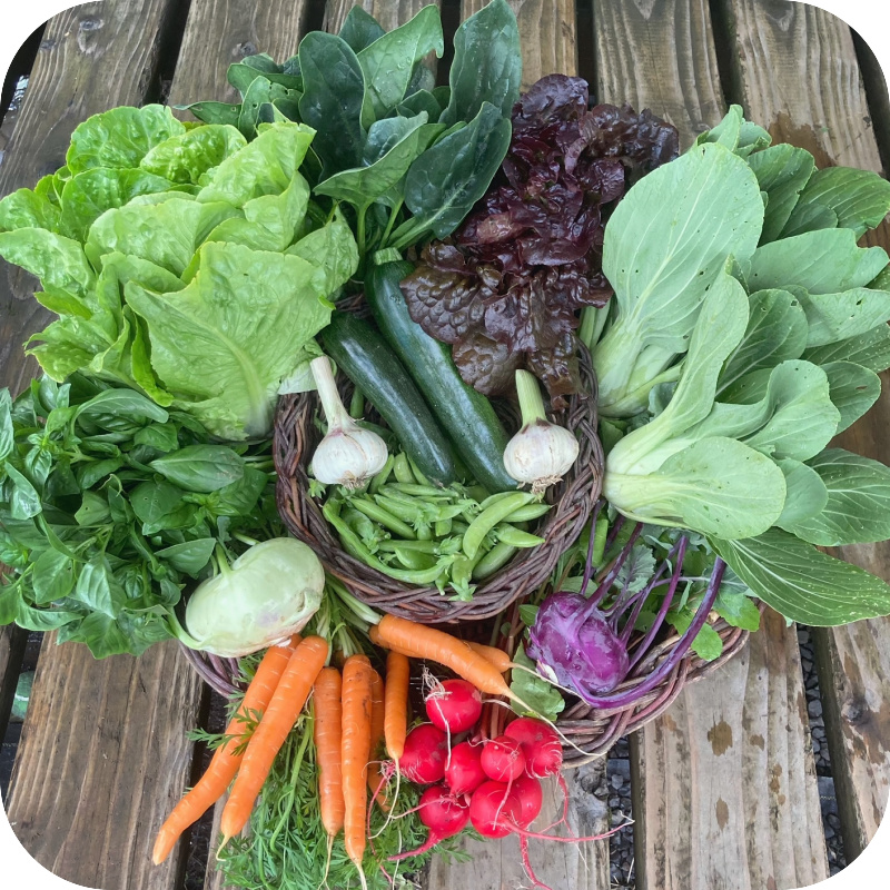 Summer CSA Share #3