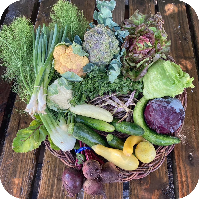 Summer CSA Share #6
