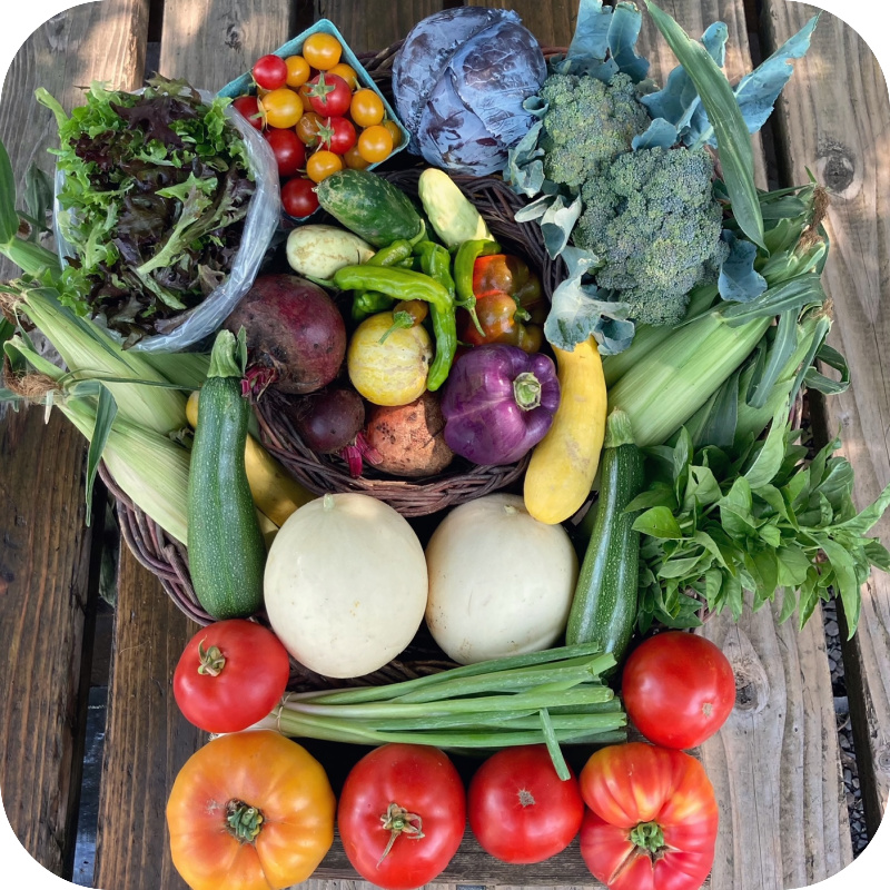 Summer CSA Share #12
