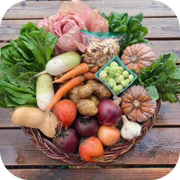 Winter CSA Share #4