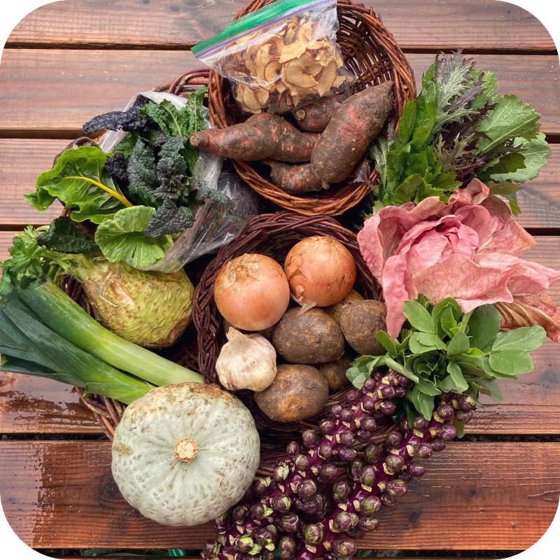 Winter CSA Share #3
