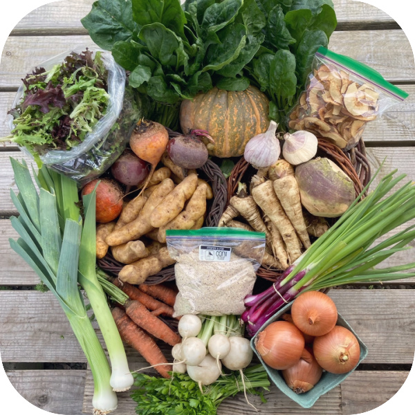 Winter CSA Share #10