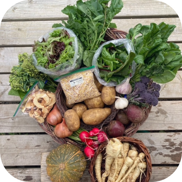 winter csa share #9