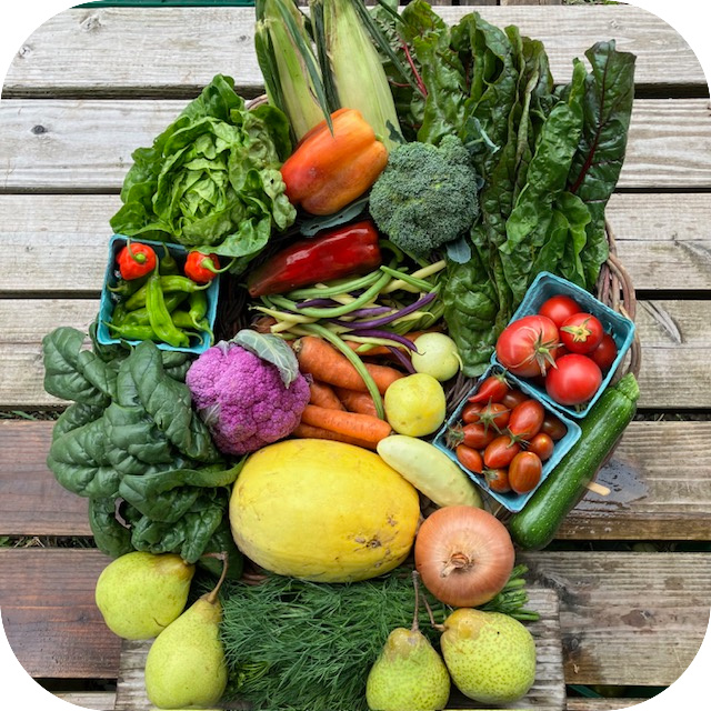 Summer CSA Share #18