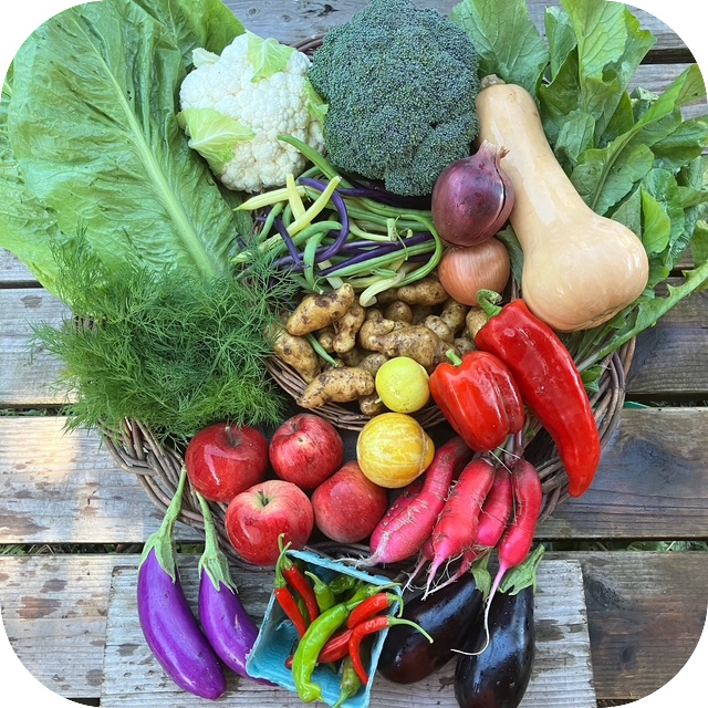 Summer CSA Share #20