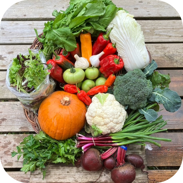 Summer CSA Share #22