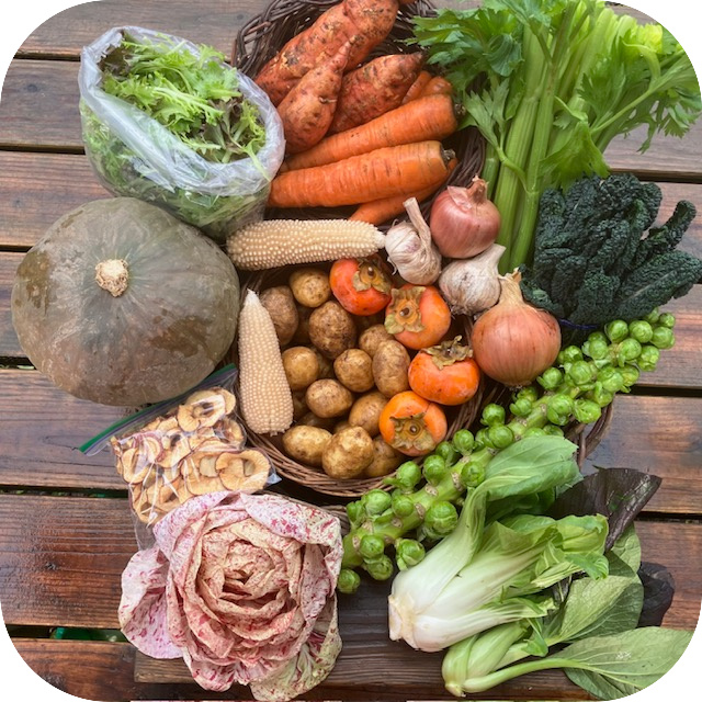 Winter CSA Share #1