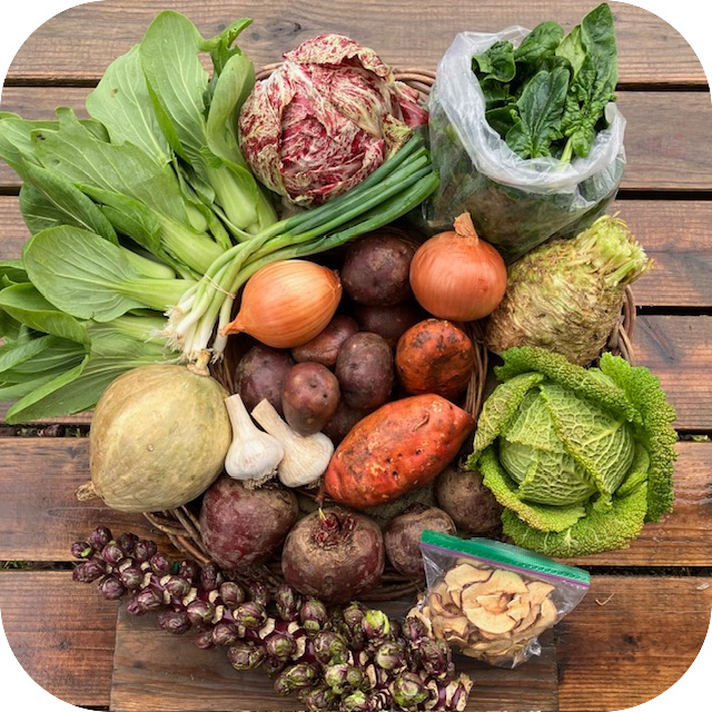 Winter CSA Share #4