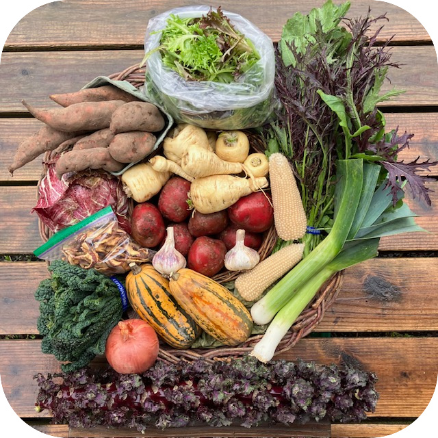 Winter CSA Share #5
