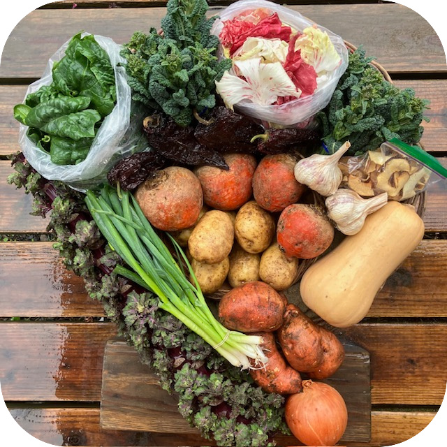 Winter CSA Share #6