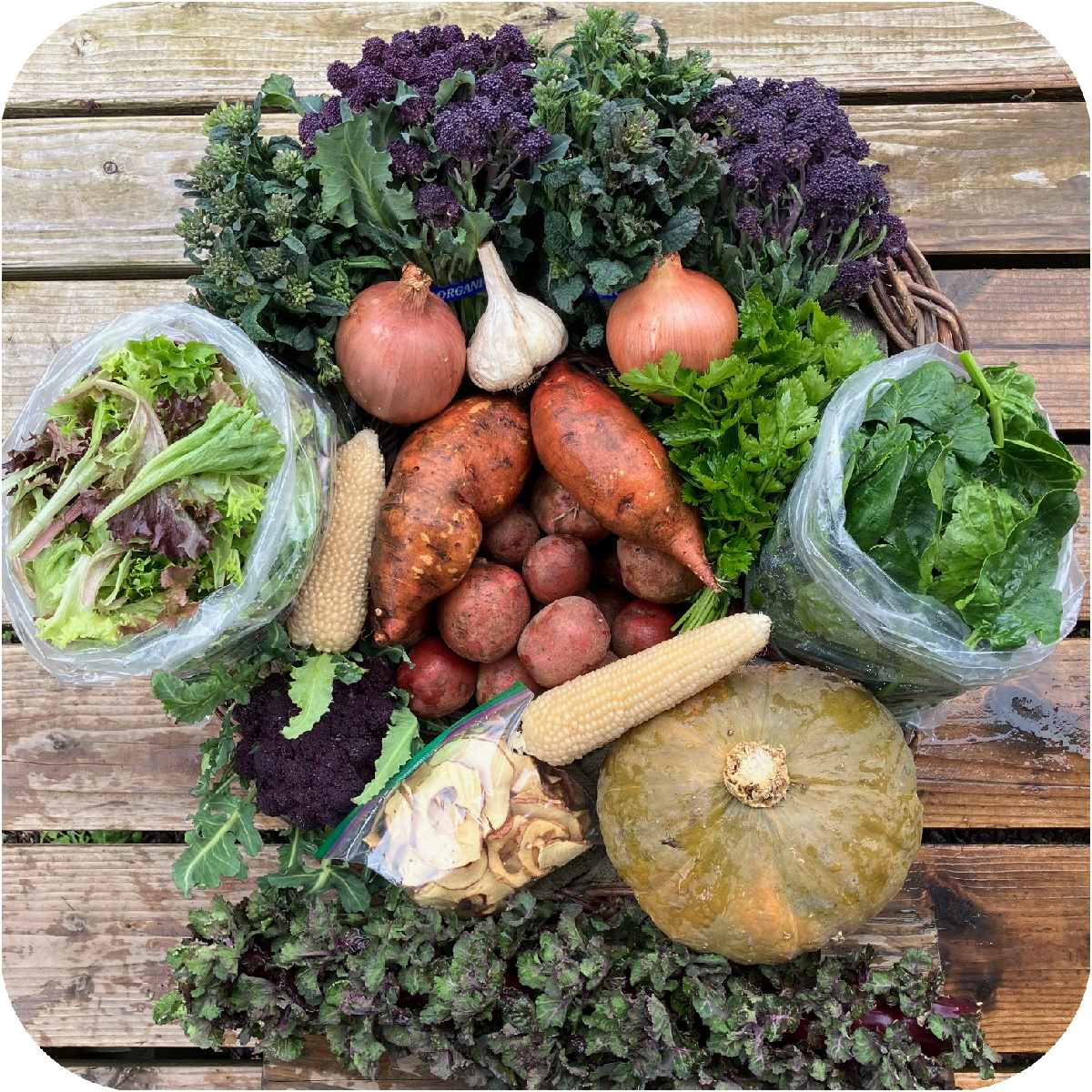 Winter CSA Share #7