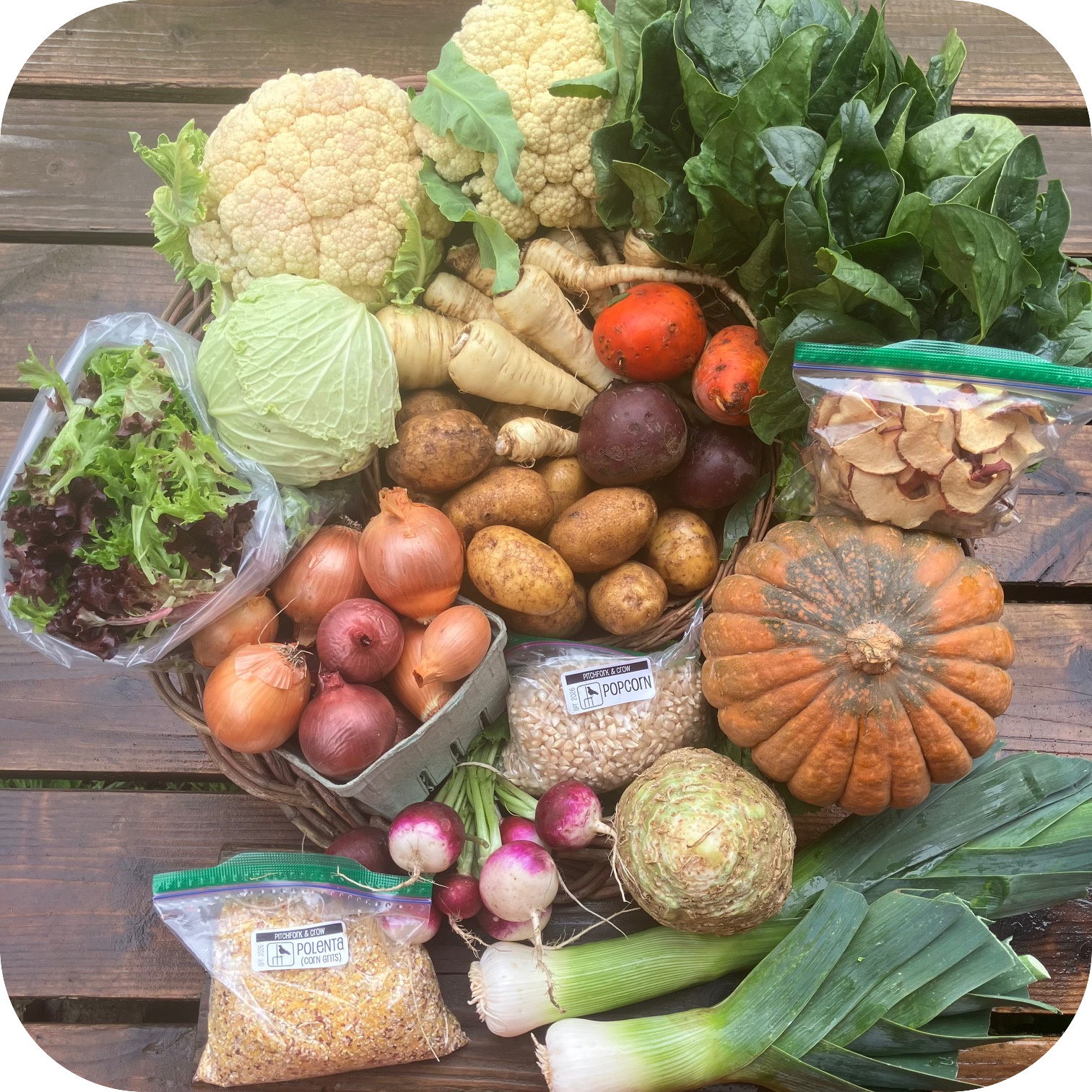Winter CSA Share #10