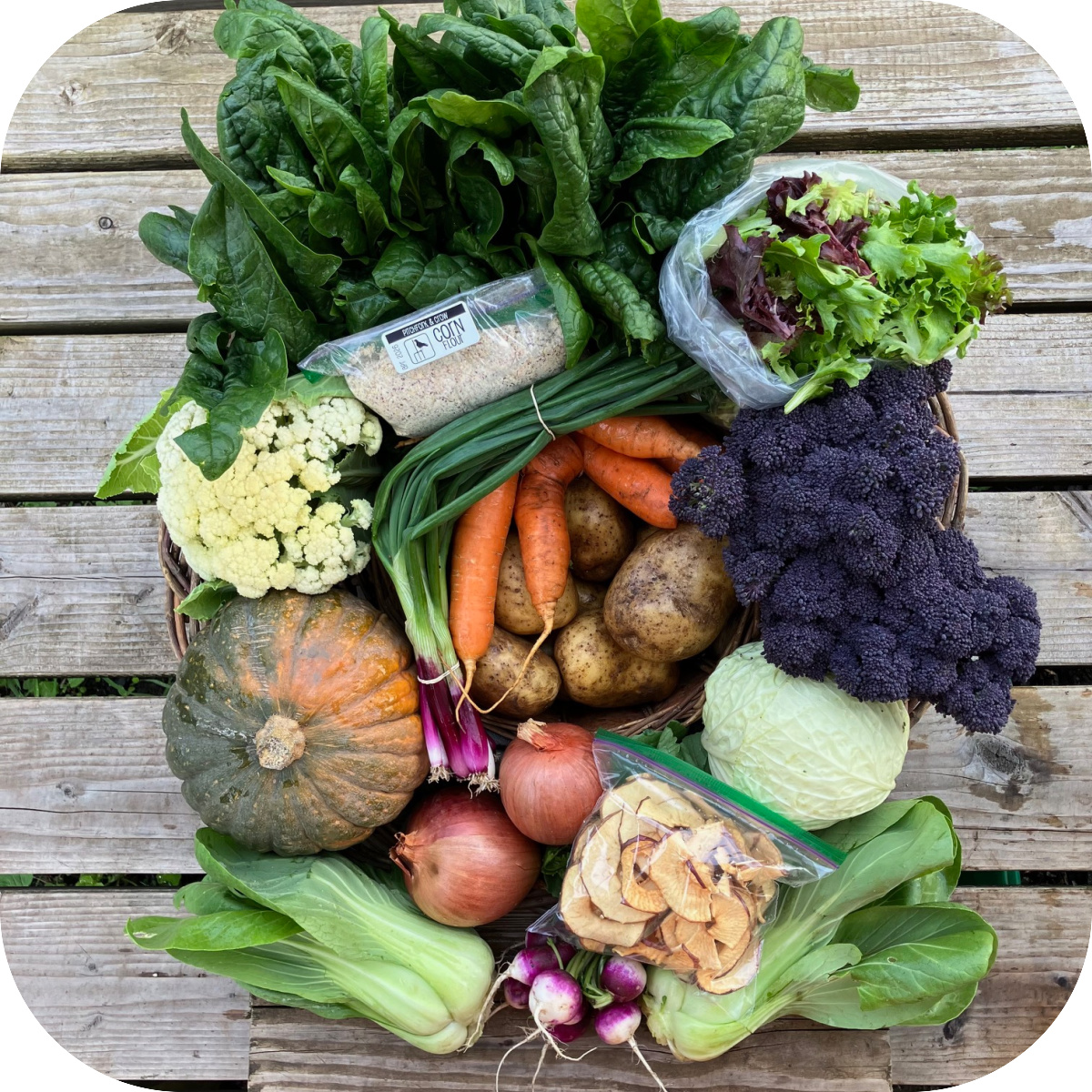 Winter CSA Share #9