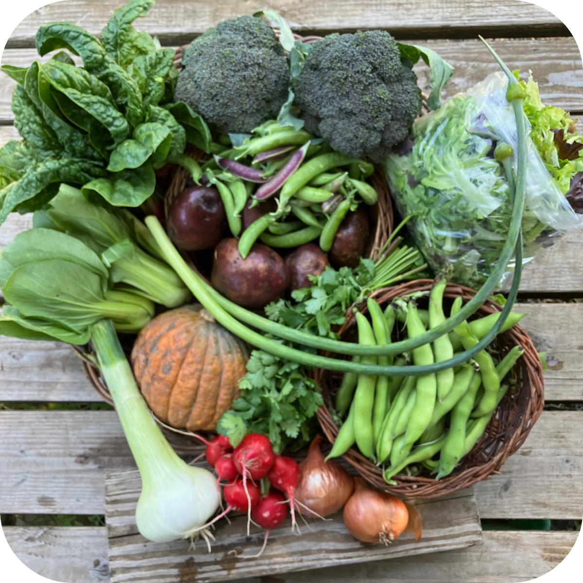 Summer CSA Share #1