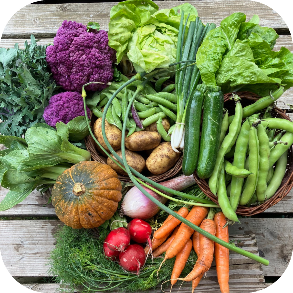Summer CSA Share #2