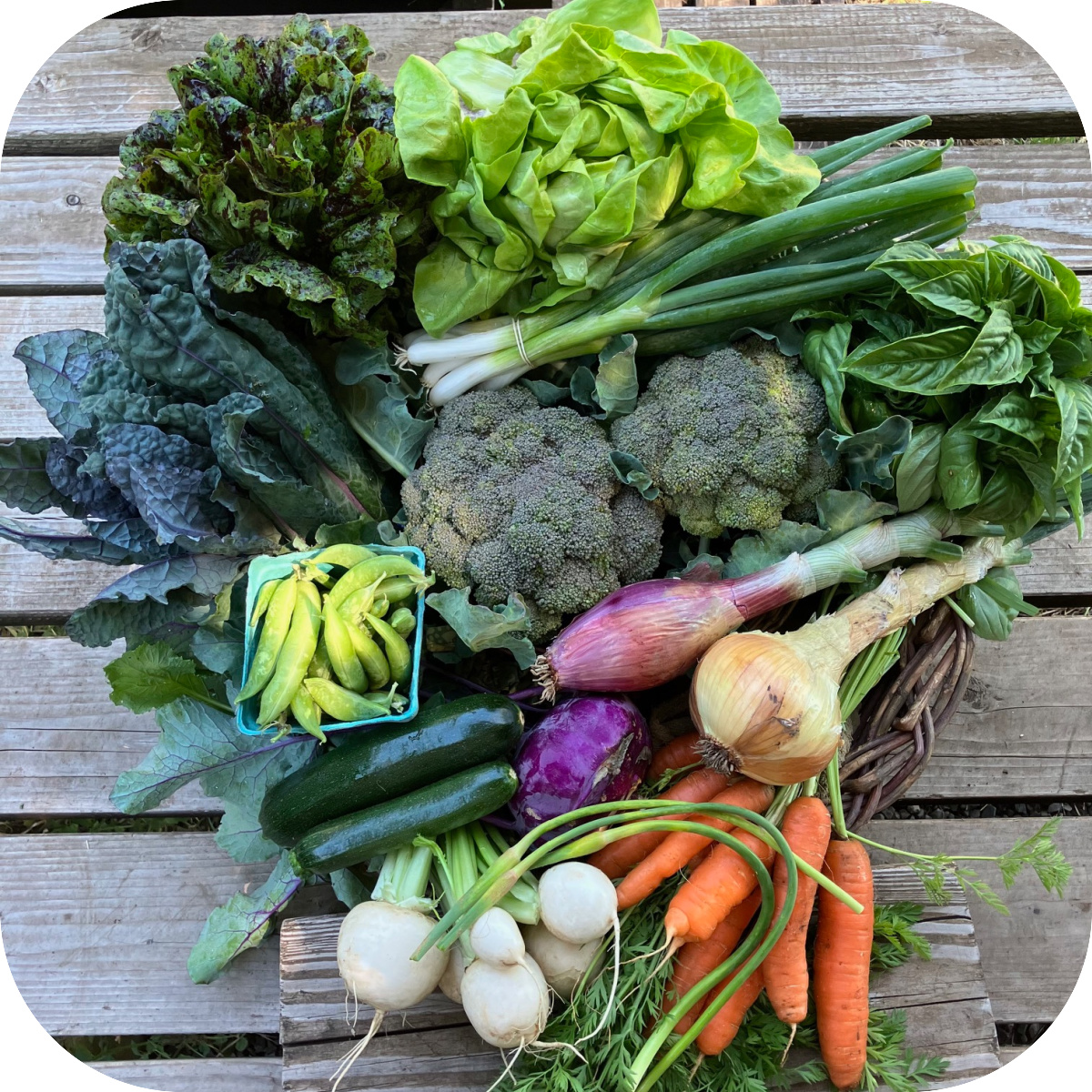 Summer CSA Share #3