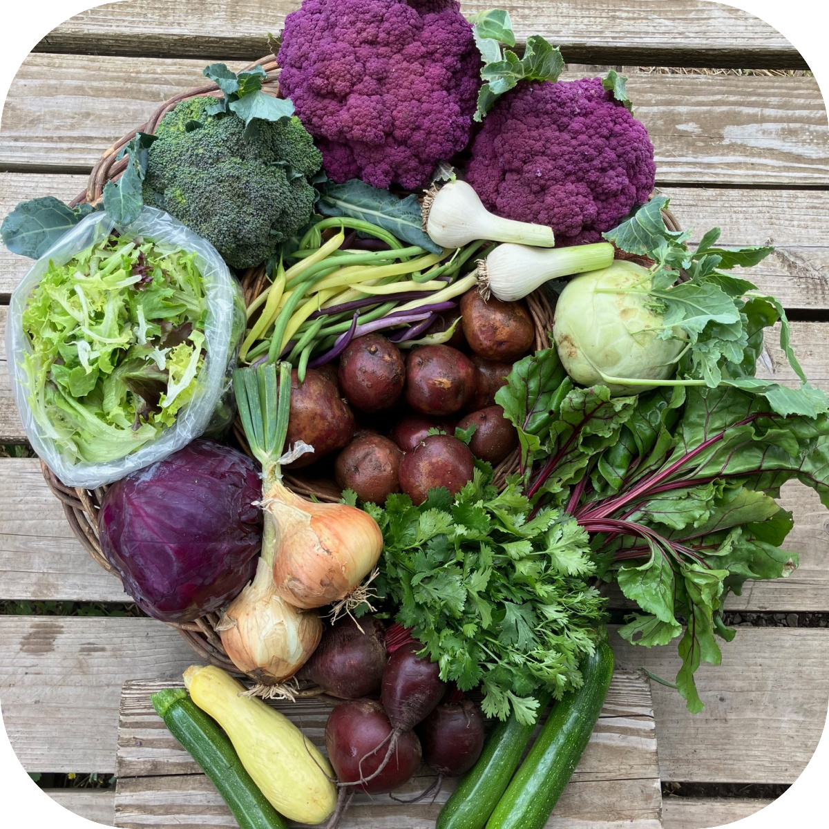 Summer CSA Share #4