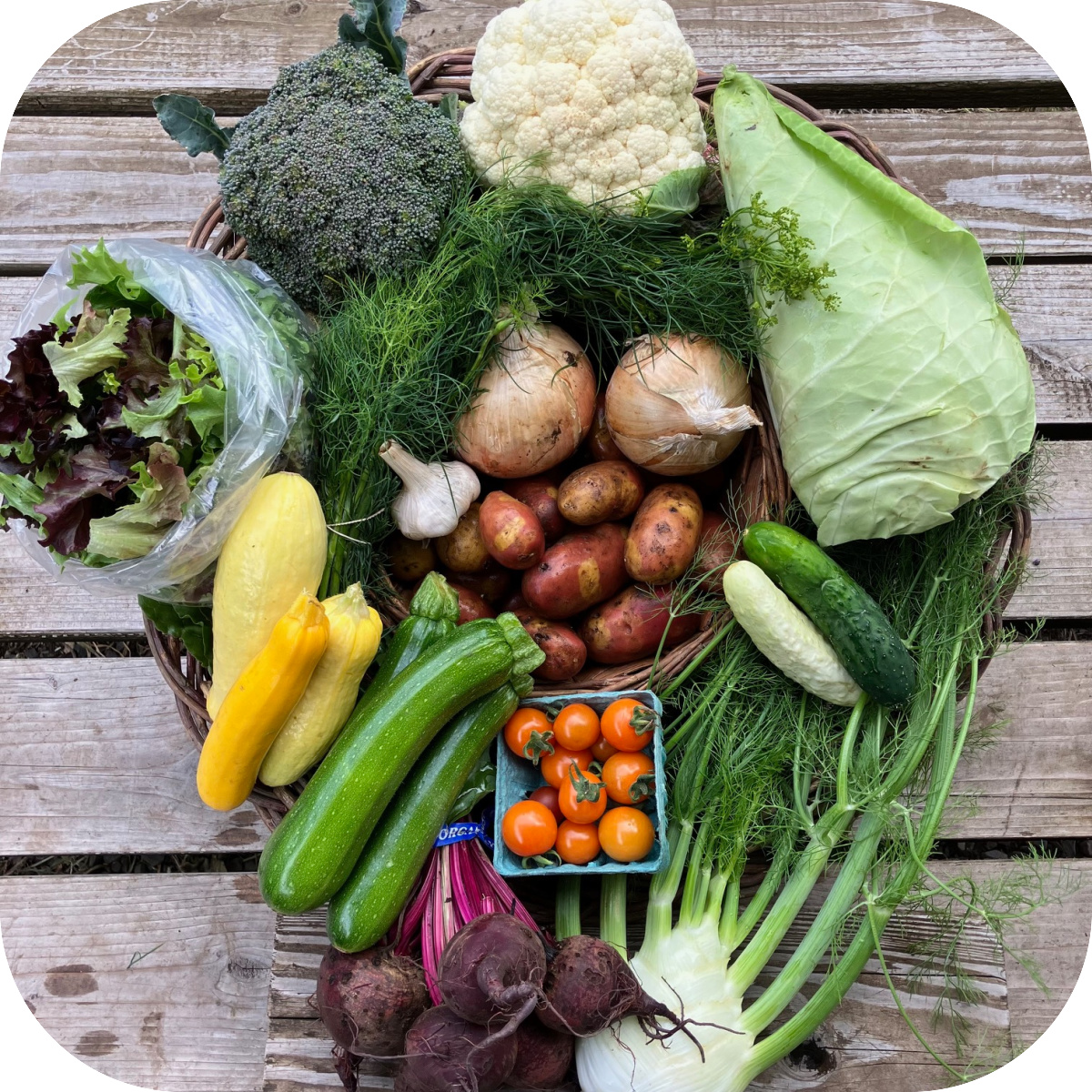 Summer CSA Share #5