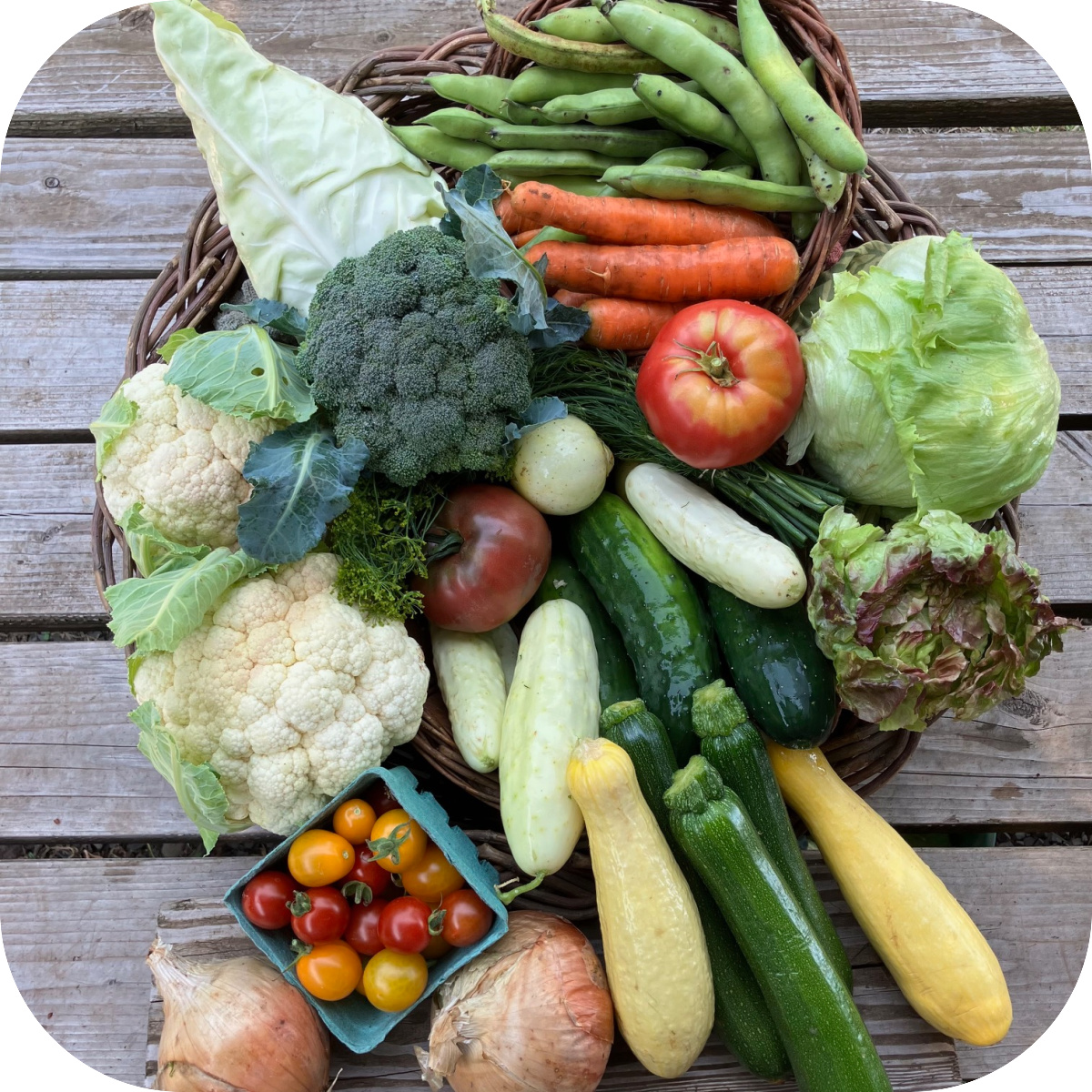 Summer CSA Share #7