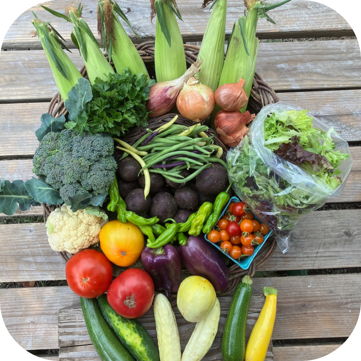 Summer CSA Share #10