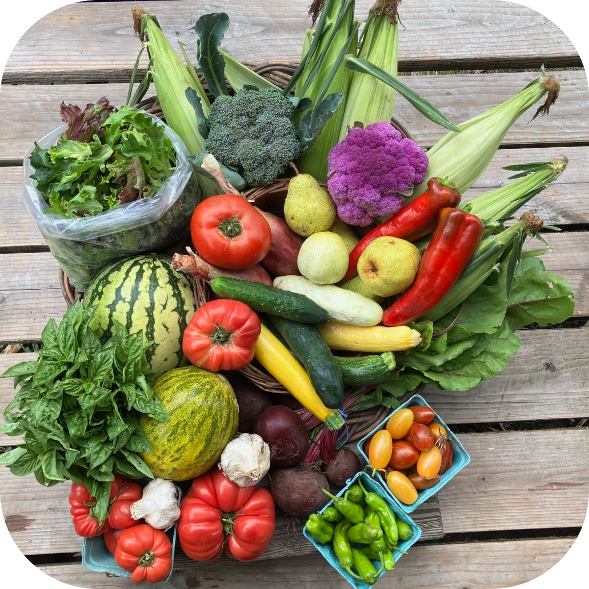 Summer CSA Share #14